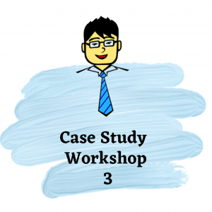 Case Study Workshop 3 | Economics Tuition Online